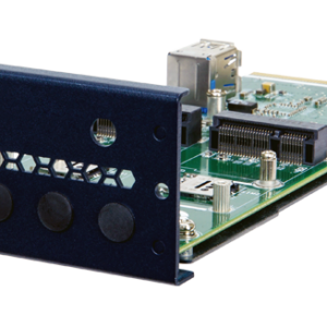PulM-2P1M