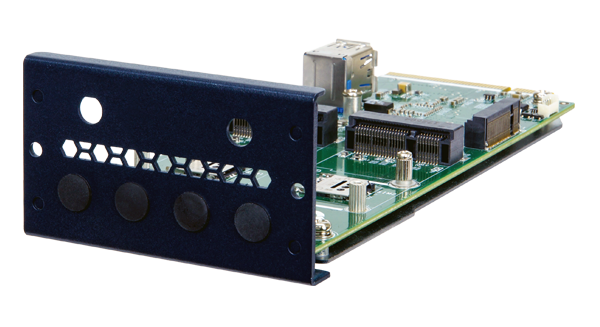 PulM-2P1M